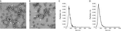 The Attenuated Protective Effect of Outer Membrane Vesicles Produced by a mcr-1 Positive Strain on Colistin Sensitive Escherichia coli